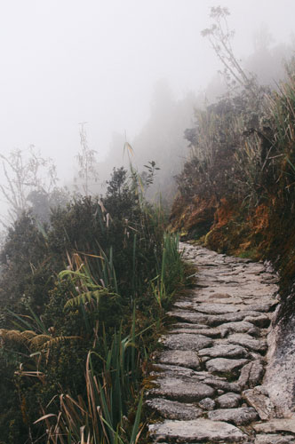 Path AFT or CBT-E