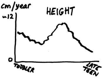 The speed of height gain of an imaginary teen since their toddler years
