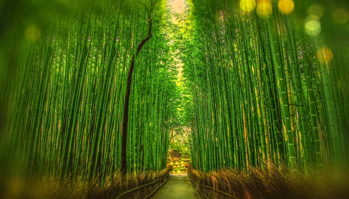 Expect rapid growth spurt in tweens or teens