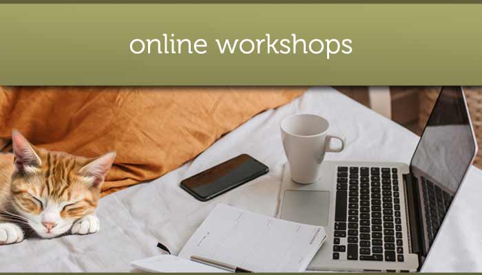 Online workshops for parents of a son or daughter with an eating disorder / anorexia