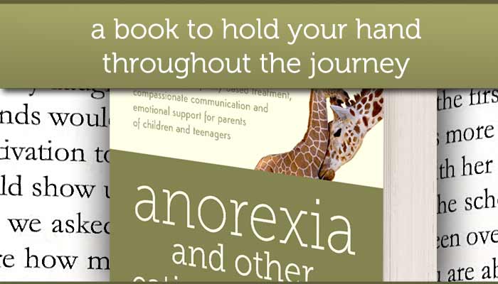 A book to hold your hand throughout the journey - anorexia and other eating disorders by Eva Musby