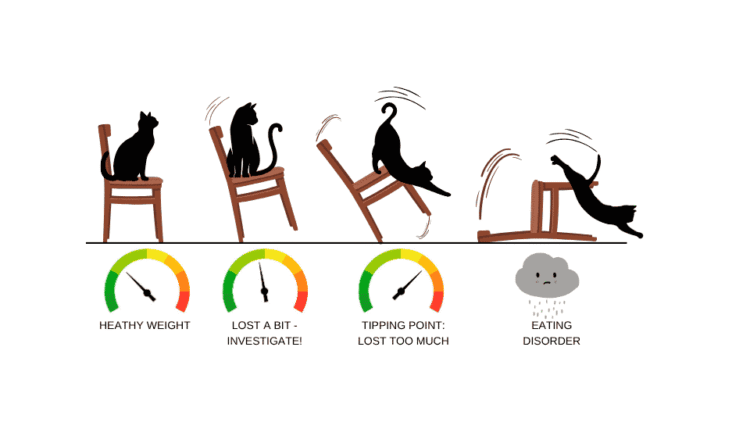 Tipping point where weight loss seems to trigger an eating disorder