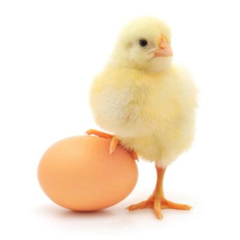 Walking on eggshells - when your child has anorexia